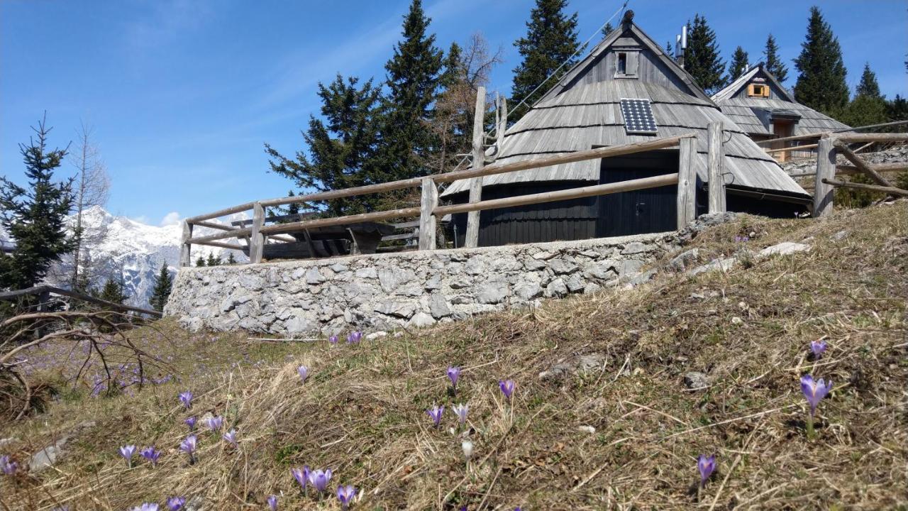 Chalet Resa - Velika Planina Stahovica Exterior foto