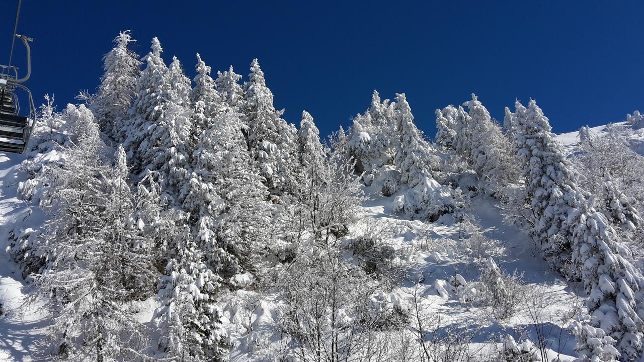 Chalet Resa - Velika Planina Stahovica Exterior foto